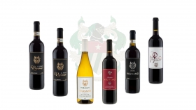 Vignano Vineyard Exclusive mixed case (Biodynamic)